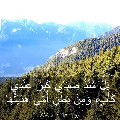 Picture 03 - أَيُّوبَ 31:18 AVD - بَلْ مُنْذُ صِبَايَ كَبِرَ - Bible Verse Picture
