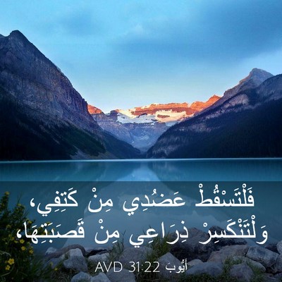 Picture 03 - أَيُّوبَ 31:22 AVD - فَلْتَسْقُطْ عَضُدِي مِنْ - Bible Verse Picture