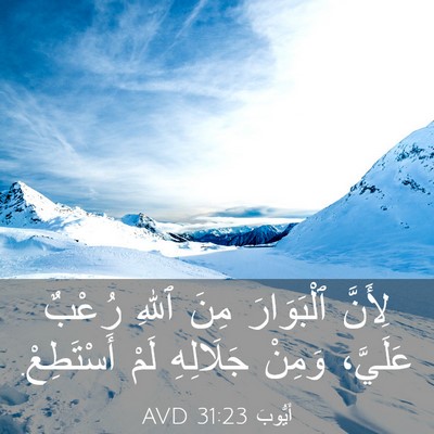 Picture 03 - أَيُّوبَ 31:23 AVD - لِأَنَّ ٱلْبَوَارَ مِنَ - Bible Verse Picture