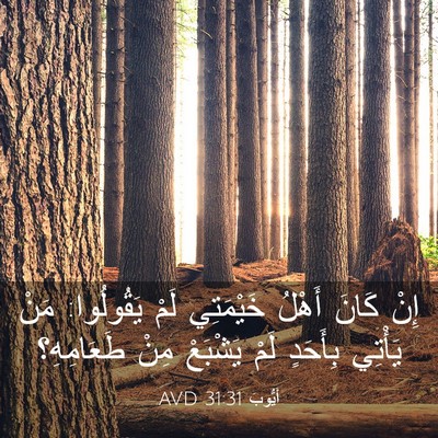 Picture 03 - أَيُّوبَ 31:31 AVD - إِنْ كَانَ أَهْلُ - Bible Verse Picture