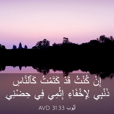 Picture 03 - أَيُّوبَ 31:33 AVD - إِنْ كُنْتُ قَدْ كَتَمْتُ - Bible Verse Picture