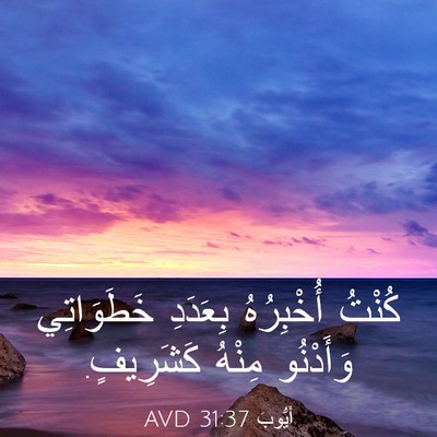 Picture 03 - أَيُّوبَ 31:37 AVD - كُنْتُ أُخْبِرُهُ - Bible Verse Picture