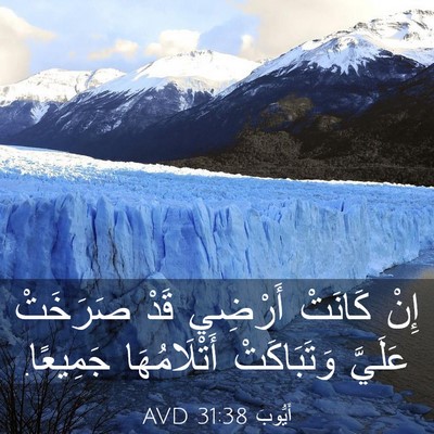 Picture 03 - أَيُّوبَ 31:38 AVD - إِنْ كَانَتْ أَرْضِي قَدْ - Bible Verse Picture