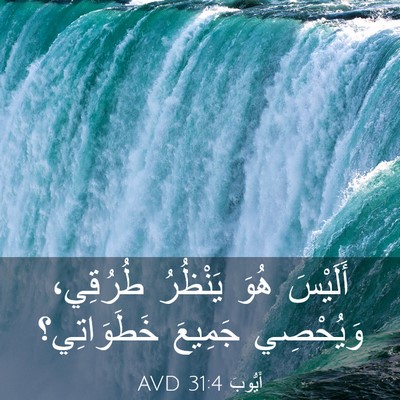 Picture 03 - أَيُّوبَ 31:4 AVD - أَلَيْسَ هُوَ يَنْظُرُ - Bible Verse Picture