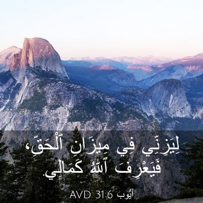 Picture 03 - أَيُّوبَ 31:6 AVD - لِيَزِنِّي فِي مِيزَانِ - Bible Verse Picture