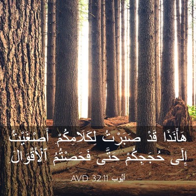 Picture 03 - أَيُّوبَ 32:11 AVD - هَأَنَذَا قَدْ صَبَرْتُ - Bible Verse Picture