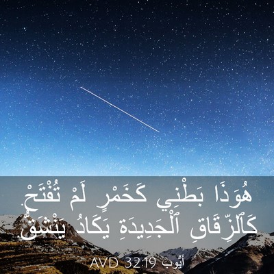 Picture 03 - أَيُّوبَ 32:19 AVD - هُوَذَا بَطْنِي كَخَمْرٍ - Bible Verse Picture