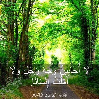 Picture 03 - أَيُّوبَ 32:21 AVD - لَا أُحَابِيَنَّ وَجْهَ - Bible Verse Picture