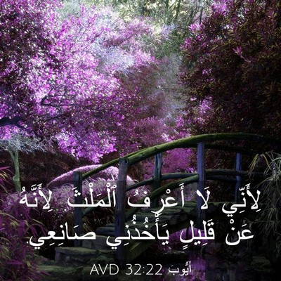Picture 03 - أَيُّوبَ 32:22 AVD - لِأَنِّي لَا أَعْرِفُ - Bible Verse Picture