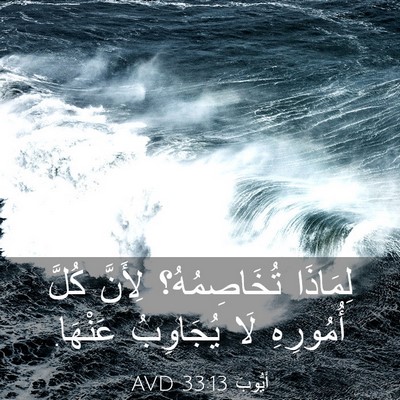 Picture 03 - أَيُّوبَ 33:13 AVD - لِمَاذَا تُخَاصِمُهُ؟ - Bible Verse Picture