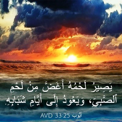 Picture 03 - أَيُّوبَ 33:25 AVD - يَصِيرُ لَحْمُهُ أَغَضَّ - Bible Verse Picture