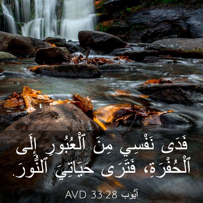 Picture 03 - أَيُّوبَ 33:28 AVD - فَدَى نَفْسِي مِنَ - Bible Verse Picture