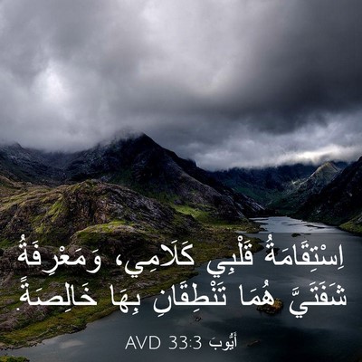 Picture 03 - أَيُّوبَ 33:3 AVD - اِسْتِقَامَةُ قَلْبِي - Bible Verse Picture