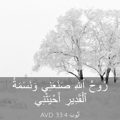 Picture 03 - أَيُّوبَ 33:4 AVD - رُوحُ ٱللهِ صَنَعَنِي - Bible Verse Picture