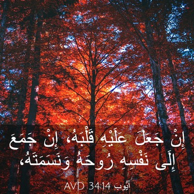 Picture 03 - أَيُّوبَ 34:14 AVD - إِنْ جَعَلَ عَلَيْهِ - Bible Verse Picture