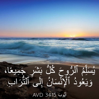 Picture 03 - أَيُّوبَ 34:15 AVD - يُسَلِّمُ ٱلرُّوحَ كُلُّ - Bible Verse Picture