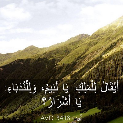Picture 03 - أَيُّوبَ 34:18 AVD - أَيُقَالُ لِلْمَلِكِ: يَا - Bible Verse Picture