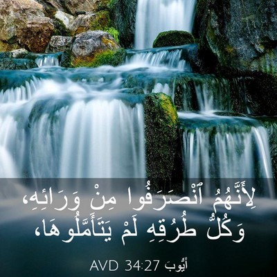 Picture 03 - أَيُّوبَ 34:27 AVD - لِأَنَّهُمُ ٱنْصَرَفُوا - Bible Verse Picture