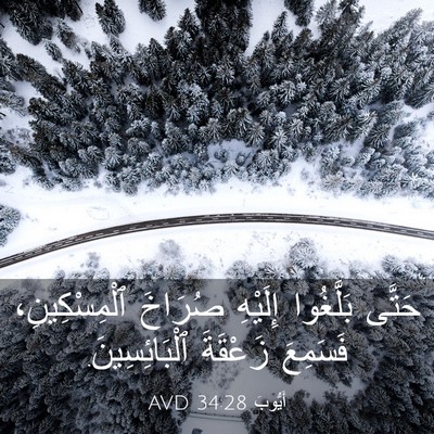 Picture 03 - أَيُّوبَ 34:28 AVD - حَتَّى بَلَّغُوا إِلَيْهِ - Bible Verse Picture