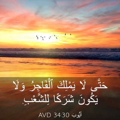 Picture 03 - أَيُّوبَ 34:30 AVD - حَتَّى لَا يَمْلِكَ - Bible Verse Picture