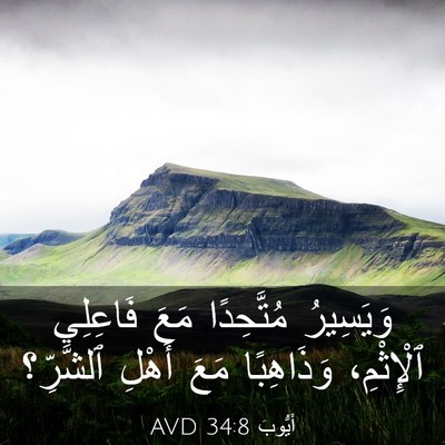 Picture 03 - أَيُّوبَ 34:8 AVD - وَيَسِيرُ مُتَّحِدًا مَعَ - Bible Verse Picture