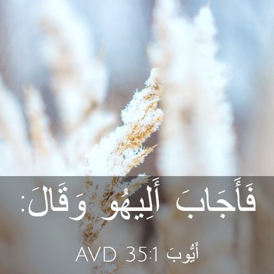 Picture 03 - أَيُّوبَ 35:1 AVD - فَأَجَابَ أَلِيهُو - Bible Verse Picture