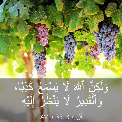 Picture 03 - أَيُّوبَ 35:13 AVD - وَلَكِنَّ ٱللهَ لَا - Bible Verse Picture