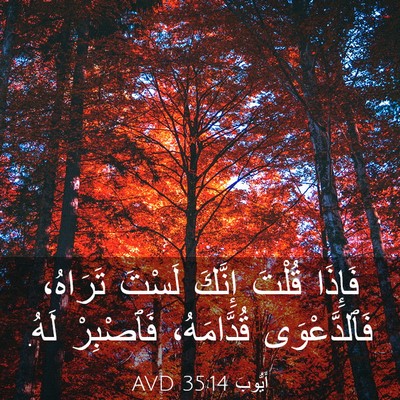 Picture 03 - أَيُّوبَ 35:14 AVD - فَإِذَا قُلْتَ إِنَّكَ - Bible Verse Picture
