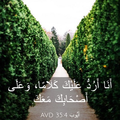 Picture 03 - أَيُّوبَ 35:4 AVD - أَنَا أَرُدُّ عَلَيْكَ - Bible Verse Picture
