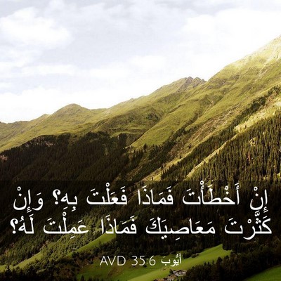 Picture 03 - أَيُّوبَ 35:6 AVD - إِنْ أَخْطَأْتَ فَمَاذَا - Bible Verse Picture
