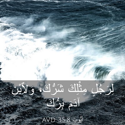 Picture 03 - أَيُّوبَ 35:8 AVD - لِرَجُلٍ مِثْلِكَ - Bible Verse Picture
