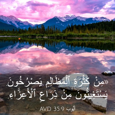 Picture 03 - أَيُّوبَ 35:9 AVD - «مِنْ كَثْرَةِ - Bible Verse Picture