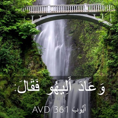 Picture 03 - أَيُّوبَ 36:1 AVD - وَعَادَ أَلِيهُو - Bible Verse Picture