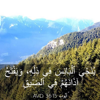 Picture 03 - أَيُّوبَ 36:15 AVD - يُنَجِّي ٱلْبَائِسَ فِي - Bible Verse Picture