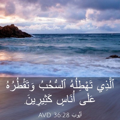 Picture 03 - أَيُّوبَ 36:28 AVD - ٱلَّذِي تَهْطِلُهُ - Bible Verse Picture