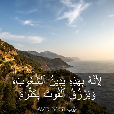 Picture 03 - أَيُّوبَ 36:31 AVD - لِأَنَّهُ بِهَذِهِ - Bible Verse Picture