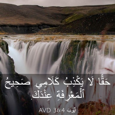 Picture 03 - أَيُّوبَ 36:4 AVD - حَقًّا لَا يَكْذِبُ - Bible Verse Picture