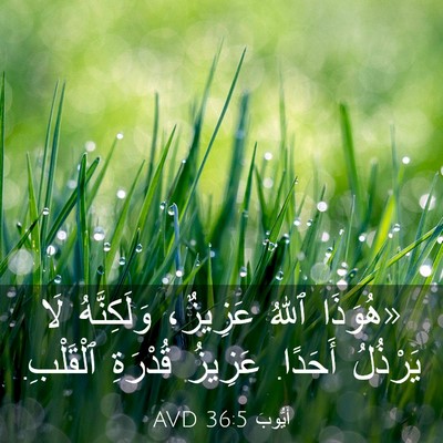 Picture 03 - أَيُّوبَ 36:5 AVD - «هُوَذَا ٱللهُ عَزِيزٌ، - Bible Verse Picture
