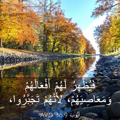 Picture 03 - أَيُّوبَ 36:9 AVD - فَيُظْهِرُ لَهُمْ - Bible Verse Picture