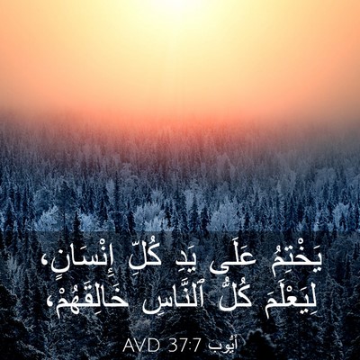 Picture 03 - أَيُّوبَ 37:7 AVD - يَخْتِمُ عَلَى يَدِ كُلِّ - Bible Verse Picture