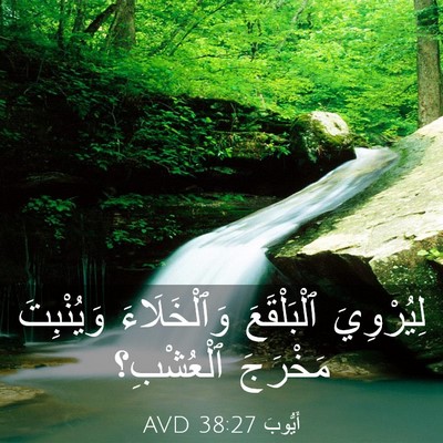 Picture 03 - أَيُّوبَ 38:27 AVD - لِيُرْوِيَ ٱلْبَلْقَعَ - Bible Verse Picture