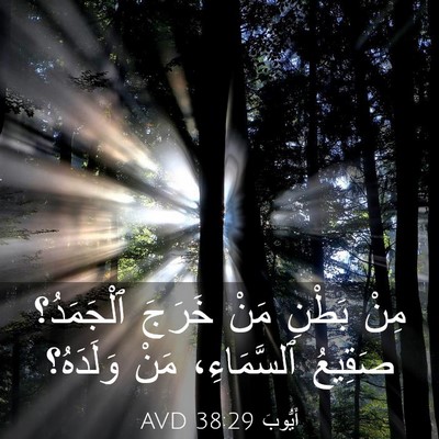 Picture 03 - أَيُّوبَ 38:29 AVD - مِنْ بَطْنِ مَنْ خَرَجَ - Bible Verse Picture