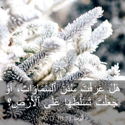 Picture 03 - أَيُّوبَ 38:33 AVD - هَلْ عَرَفْتَ سُنَنَ - Bible Verse Picture