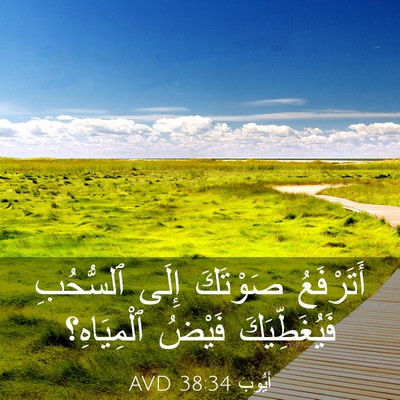 Picture 03 - أَيُّوبَ 38:34 AVD - أَتَرْفَعُ صَوْتَكَ إِلَى - Bible Verse Picture