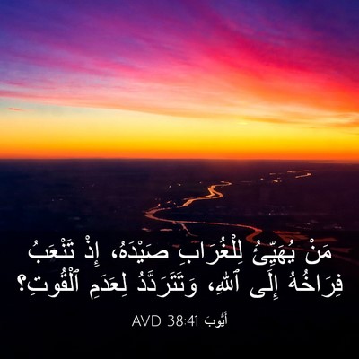 Picture 03 - أَيُّوبَ 38:41 AVD - مَنْ يُهَيِّئُ - Bible Verse Picture