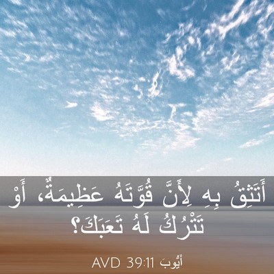 Picture 03 - أَيُّوبَ 39:11 AVD - أَتَثِقُ بِهِ لِأَنَّ - Bible Verse Picture