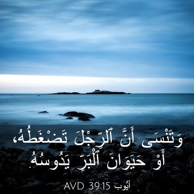 Picture 03 - أَيُّوبَ 39:15 AVD - وَتَنْسَى أَنَّ ٱلرِّجْلَ - Bible Verse Picture