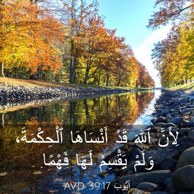 Picture 03 - أَيُّوبَ 39:17 AVD - لِأَنَّ ٱللهَ قَدْ - Bible Verse Picture