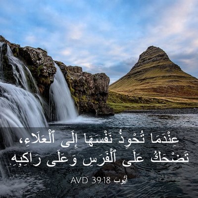 Picture 03 - أَيُّوبَ 39:18 AVD - عِنْدَمَا تُحْوِذُ - Bible Verse Picture