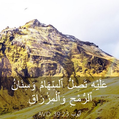 Picture 03 - أَيُّوبَ 39:23 AVD - عَلَيْهِ تَصِلُّ - Bible Verse Picture